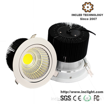 High Power COB 30W LED Down Lights